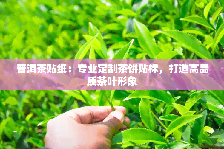 普洱茶贴纸：专业定制茶饼贴标，打造高品质茶叶形象