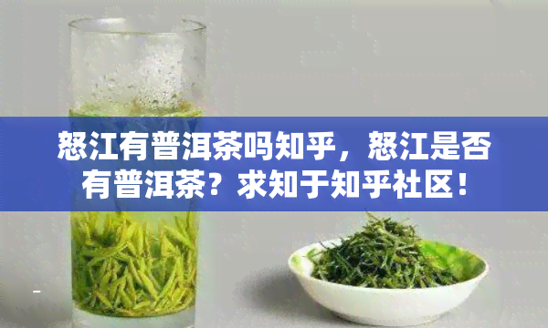 怒江有普洱茶吗知乎，怒江是否有普洱茶？求知于知乎社区！