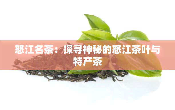 怒江名茶：探寻神秘的怒江茶叶与特产茶