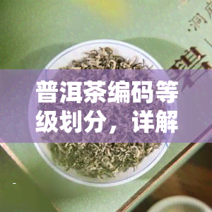 普洱茶编码等级划分，详解普洱茶的编码等级划分及其含义