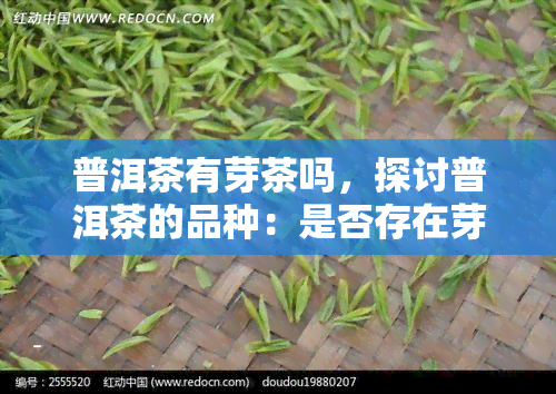 普洱茶有芽茶吗，探讨普洱茶的品种：是否存在芽茶？