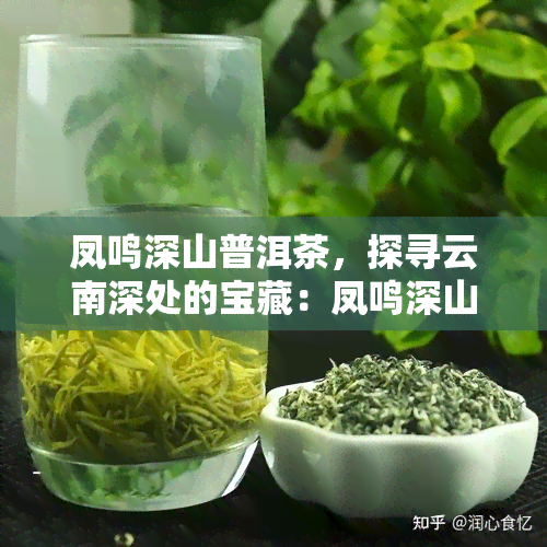 凤鸣深山普洱茶，探寻云南深处的宝藏：凤鸣深山普洱茶的魅力与故事