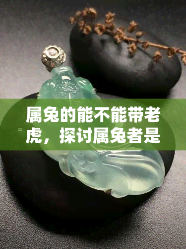 属兔的能不能带老虎，探讨属兔者是否适合佩戴老虎饰品