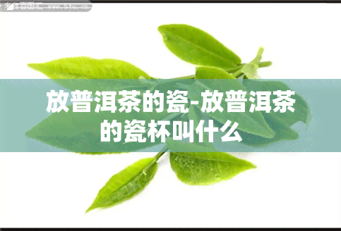 放普洱茶的瓷-放普洱茶的瓷杯叫什么