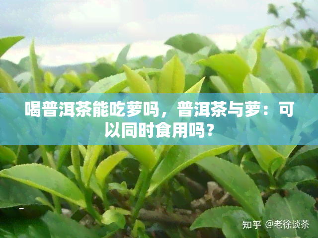 喝普洱茶能吃萝吗，普洱茶与萝：可以同时食用吗？