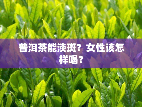 普洱茶能淡斑？女性该怎样喝？