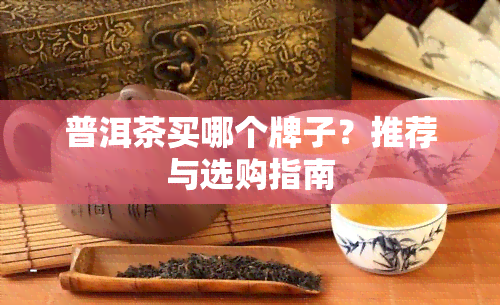 普洱茶买哪个牌子？推荐与选购指南