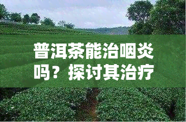 普洱茶能治咽炎吗？探讨其治疗效果与好处