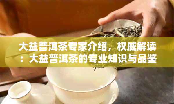 大益普洱茶专家介绍，权威解读：大益普洱茶的专业知识与品鉴技巧