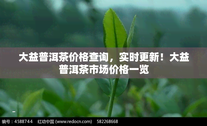 大益普洱茶价格查询，实时更新！大益普洱茶市场价格一览