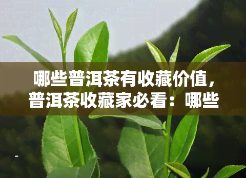 哪些普洱茶有收藏价值，普洱茶收藏家必看：哪些茶叶具有高收藏价值？