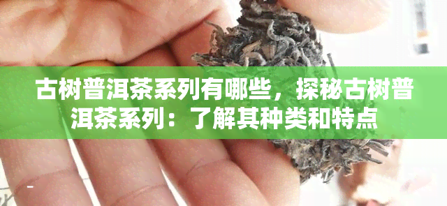 古树普洱茶系列有哪些，探秘古树普洱茶系列：了解其种类和特点