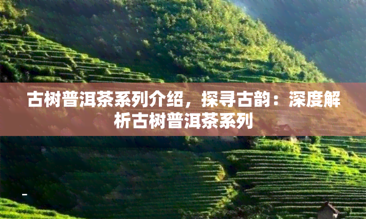 古树普洱茶系列介绍，探寻古韵：深度解析古树普洱茶系列