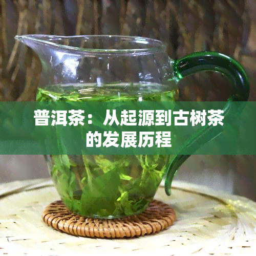 普洱茶：从起源到古树茶的发展历程