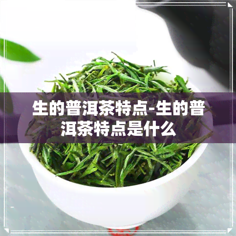 生的普洱茶特点-生的普洱茶特点是什么