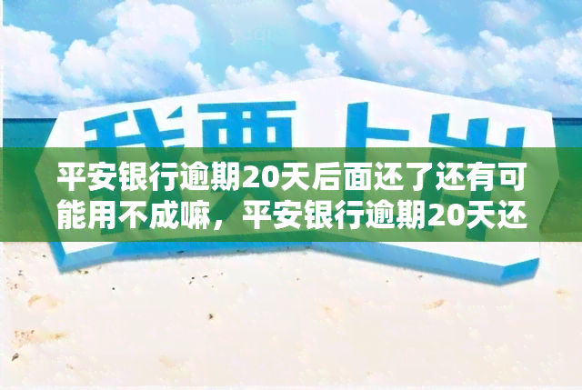 平安银行逾期20天后面还了还有可能用不成嘛，平安银行逾期20天还款后，是否会影响后续使用？