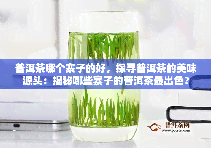 普洱茶哪个寨子的好，探寻普洱茶的美味源头：揭秘哪些寨子的普洱茶最出色？