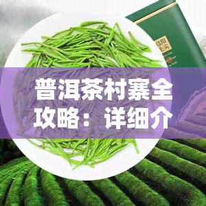 普洱茶村寨全攻略：详细介绍与排名