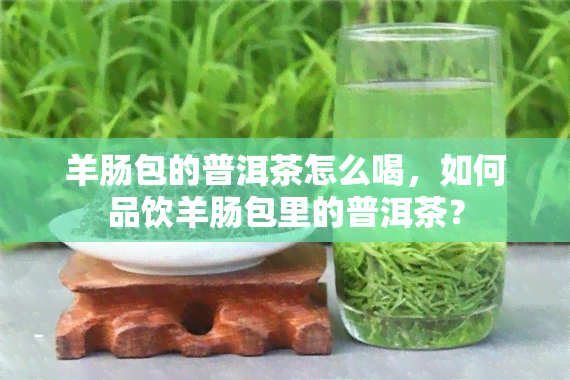 羊肠包的普洱茶怎么喝，如何品饮羊肠包里的普洱茶？