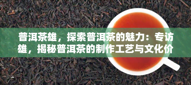 普洱茶雄，探索普洱茶的魅力：专访雄，揭秘普洱茶的制作工艺与文化价值