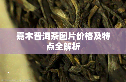 嘉木普洱茶图片价格及特点全解析