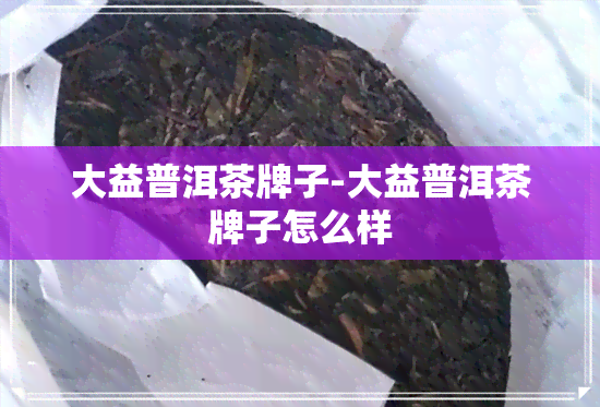 大益普洱茶牌子-大益普洱茶牌子怎么样