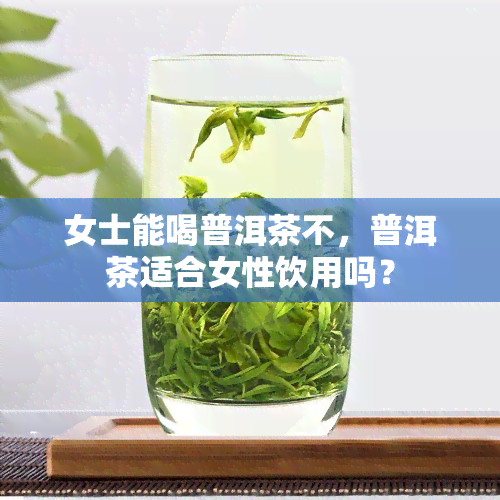 女士能喝普洱茶不，普洱茶适合女性饮用吗？