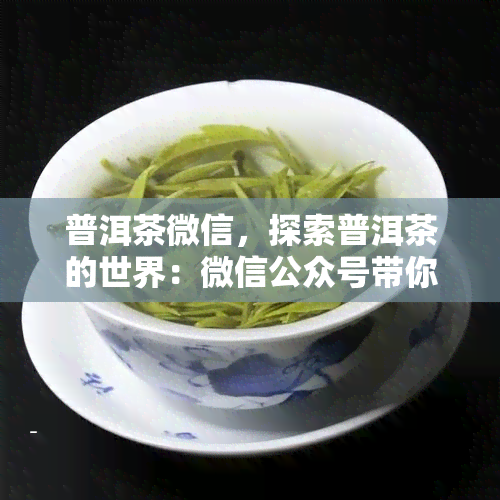 普洱茶微信，探索普洱茶的世界：微信公众号带你走进中国茶文化的精髓