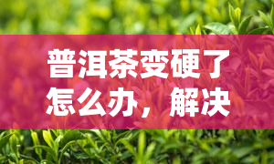 普洱茶变硬了怎么办，解决方法：当普洱茶变硬时该怎么做？