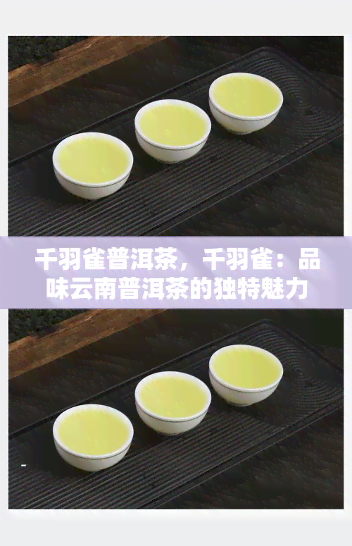 千羽雀普洱茶，千羽雀：品味云南普洱茶的独特魅力