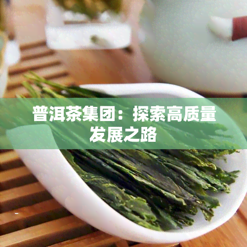 普洱茶集团：探索高质量发展之路