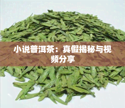 小说普洱茶：真假揭秘与视频分享