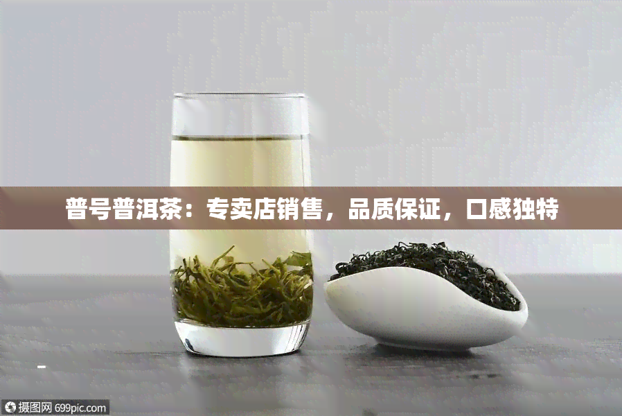 普号普洱茶：专卖店销售，品质保证，口感独特