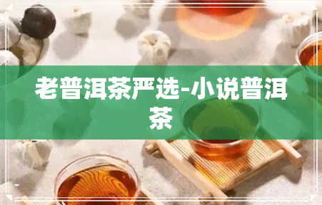 老普洱茶严选-小说普洱茶