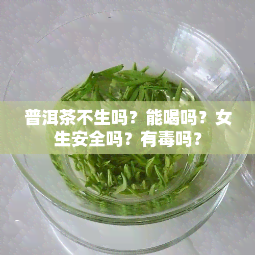 普洱茶不生吗？能喝吗？女生安全吗？有吗？