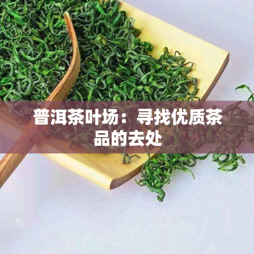 普洱茶叶场：寻找优质茶品的去处