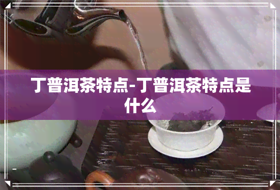 丁普洱茶特点-丁普洱茶特点是什么