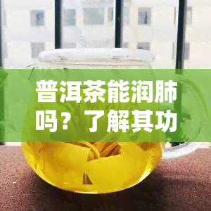 普洱茶能润肺吗？了解其功效与正确饮用方法