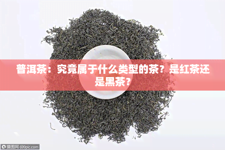 普洱茶：究竟属于什么类型的茶？是红茶还是黑茶？