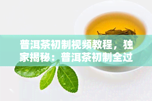 普洱茶初制视频教程，独家揭秘：普洱茶初制全过程，一看就会的视频教程！