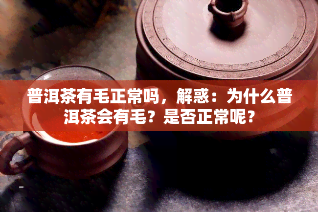 普洱茶有毛正常吗，解惑：为什么普洱茶会有毛？是否正常呢？