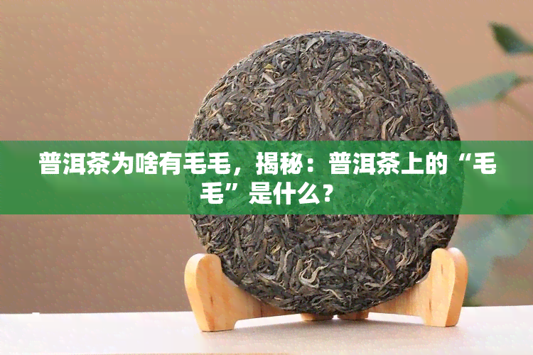 普洱茶为啥有毛毛，揭秘：普洱茶上的“毛毛”是什么？