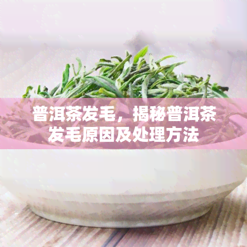 普洱茶发毛，揭秘普洱茶发毛原因及处理方法