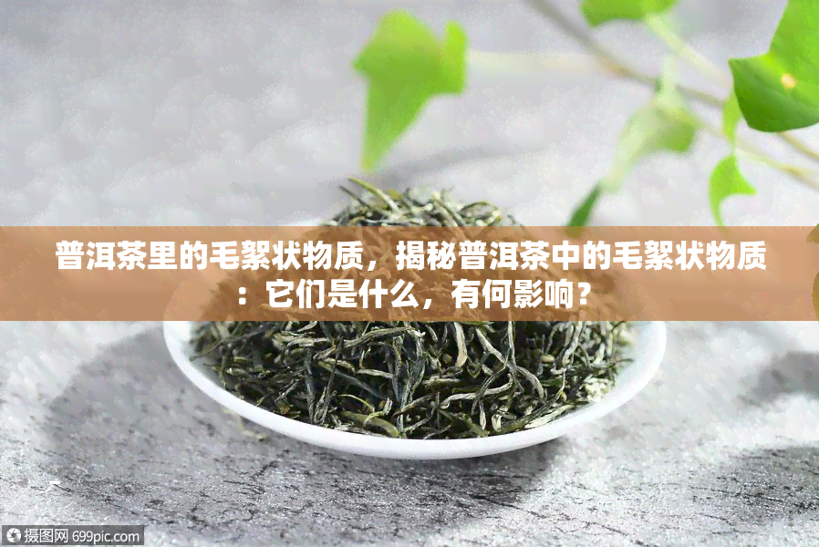 普洱茶里的毛絮状物质，揭秘普洱茶中的毛絮状物质：它们是什么，有何影响？