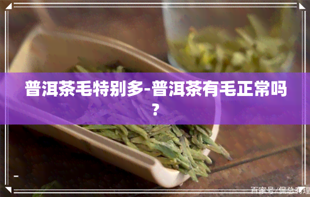 普洱茶毛特别多-普洱茶有毛正常吗?