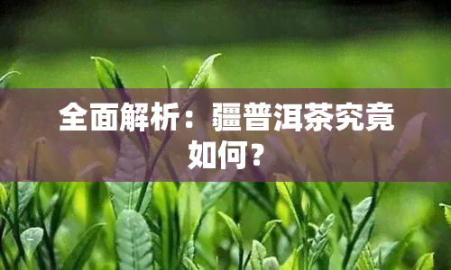 全面解析：疆普洱茶究竟如何？