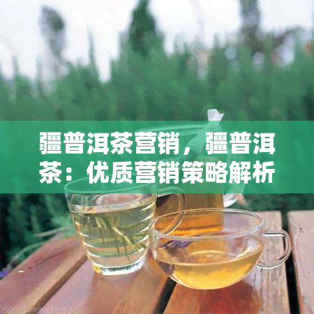 疆普洱茶营销，疆普洱茶：优质营销策略解析