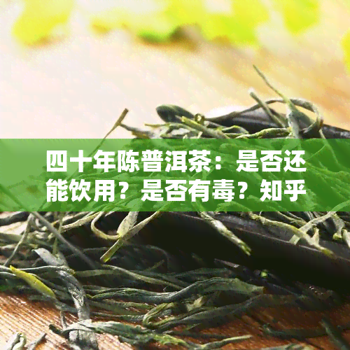 四十年陈普洱茶：是否还能饮用？是否有？知乎上有答案吗？