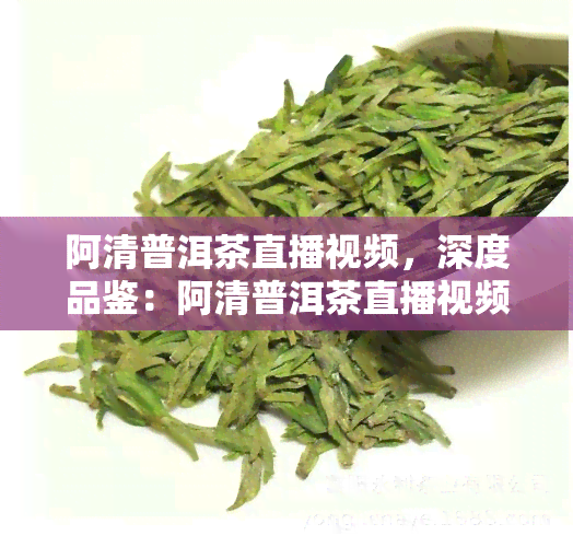 阿清普洱茶直播视频，深度品鉴：阿清普洱茶直播视频，带你探索云南茶文化的魅力