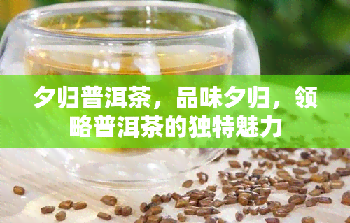 夕归普洱茶，品味夕归，领略普洱茶的独特魅力